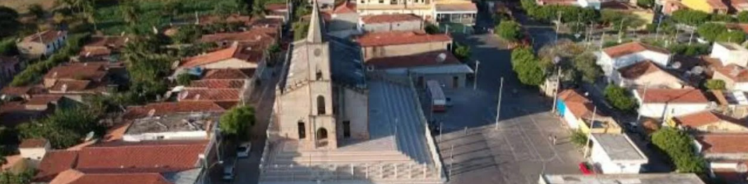 Seção de busca no portal